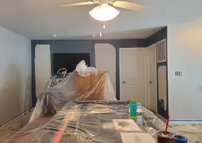 Expert House Painter